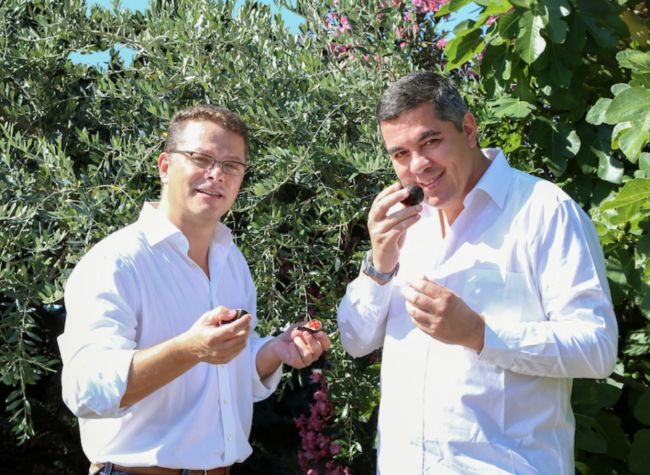 Xavier et Benoit Gandon, directeurs généraux