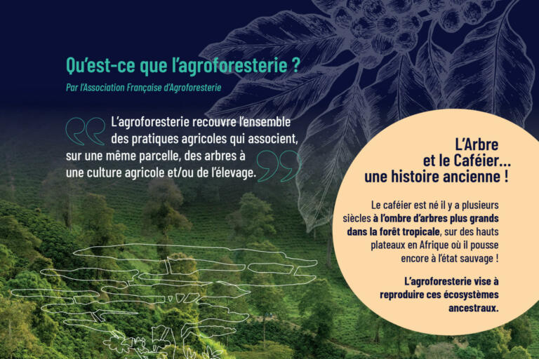 Jdc 2023 fiche agroforesterie recto (a4)