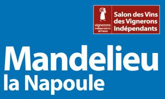 Mandelieu vignettes salons site 664x398px