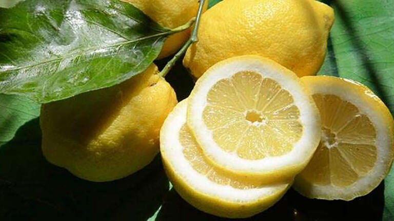 Citron de menton