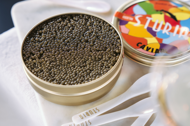 Article 1 caviar sturia 3