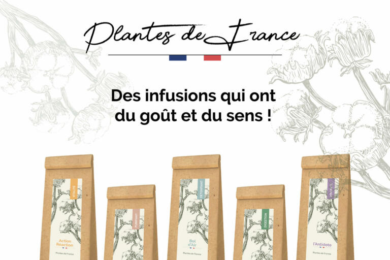Sortie de l’année : la collection « Plantes de France »  - Maison laGrange