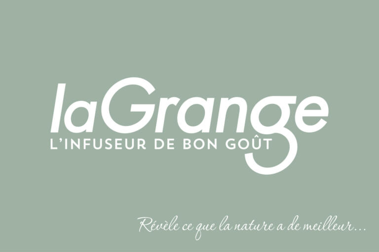 Partie 3 lagrange