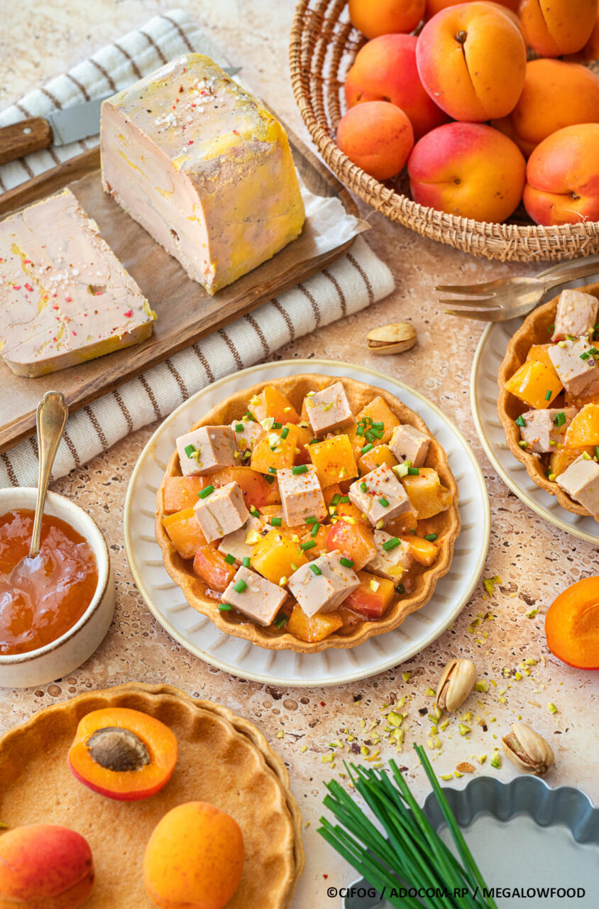 Tartelettes tartare foie gras abricots : progression des ventes de foie gras 2025 ©cifog adocom rp megalowfood web