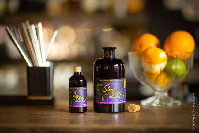 Innovations no-low Sloe Gin Djin spirit