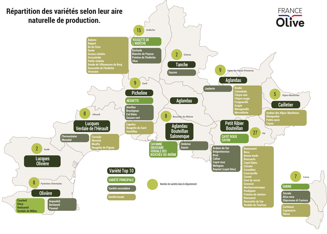 Carte varietes francaises dolivier par departement