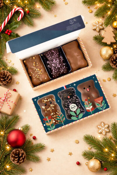 Chocodic coffret 3 oursons guimauve fond noel 