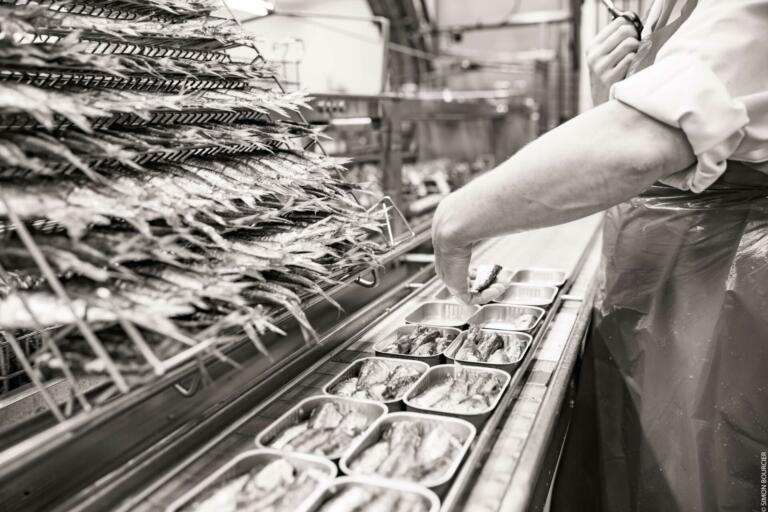 sardines millésimées