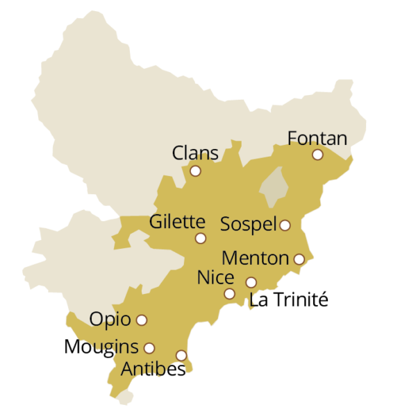 Carte aop nice