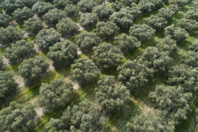 C055 091 dji 0045