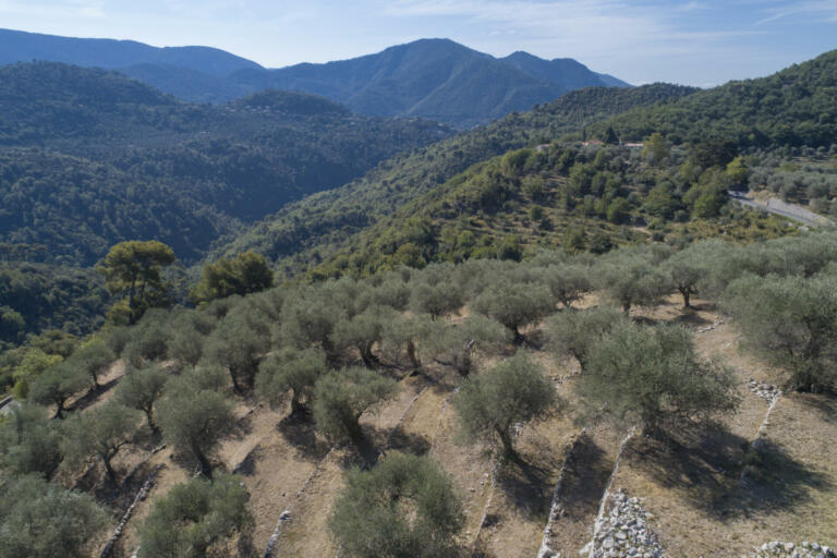 R740 0683 124 mcolin dji 0106
