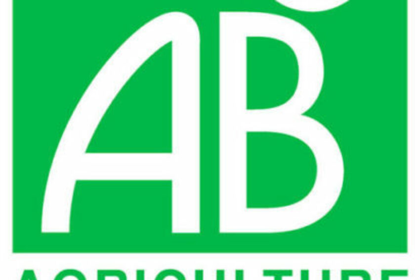 ab_hd-e1608474149799