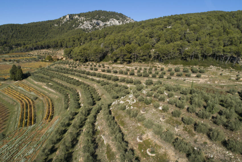 C055 368 dji 0167