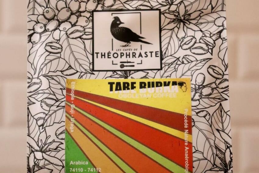 Café théphraste 1