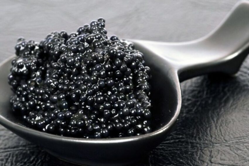 Cuiller De Caviar