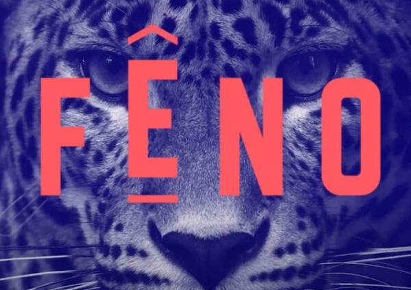 Fêno