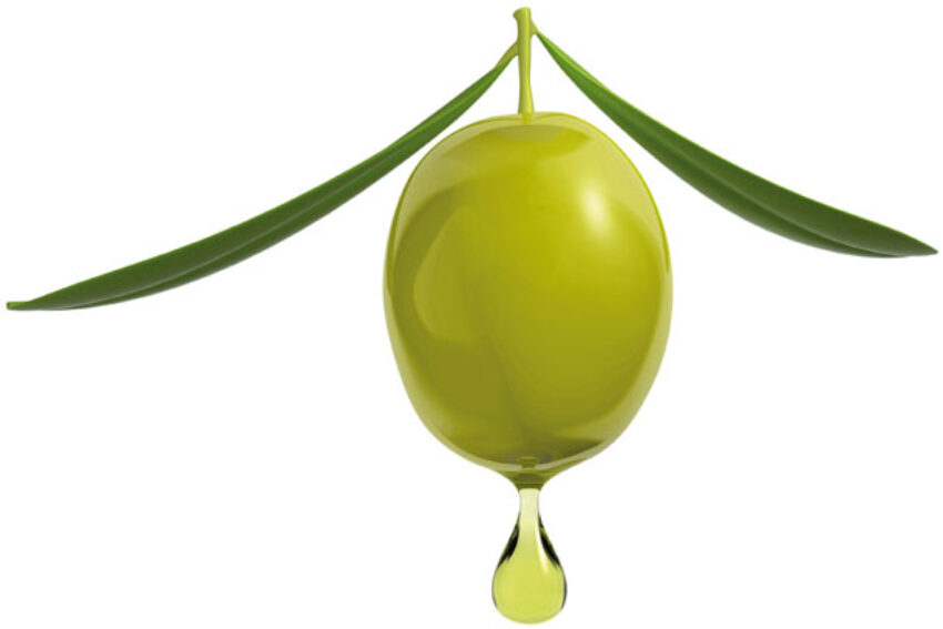 olive-terra mater cosmetiqu