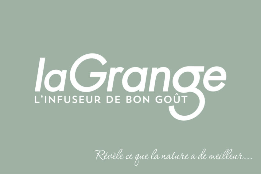 Partie 3 lagrange