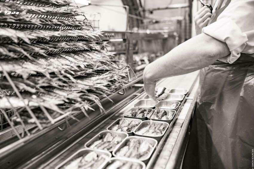 sardines millésimées