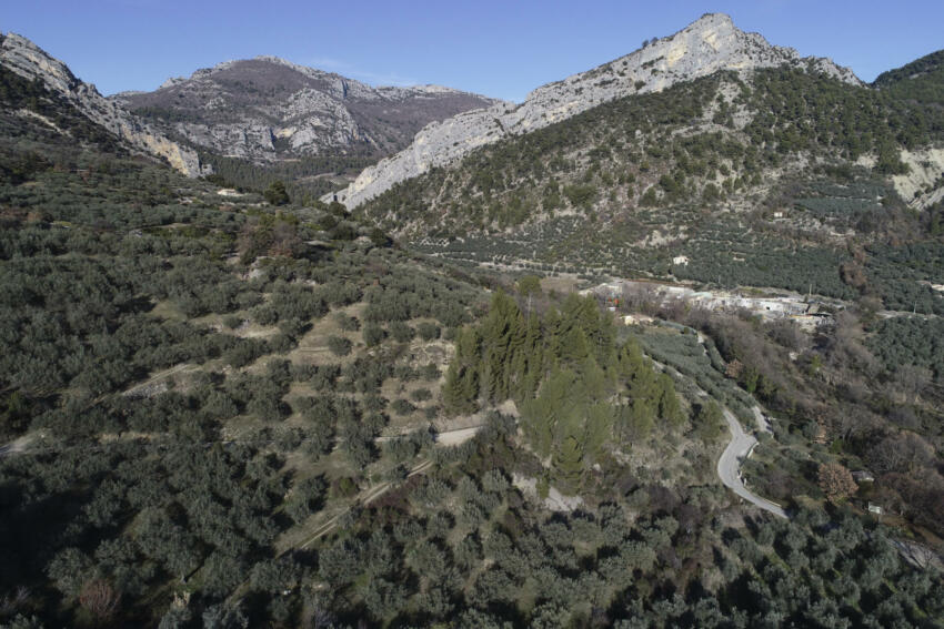 R740 8426 041 mcolin dji 0986