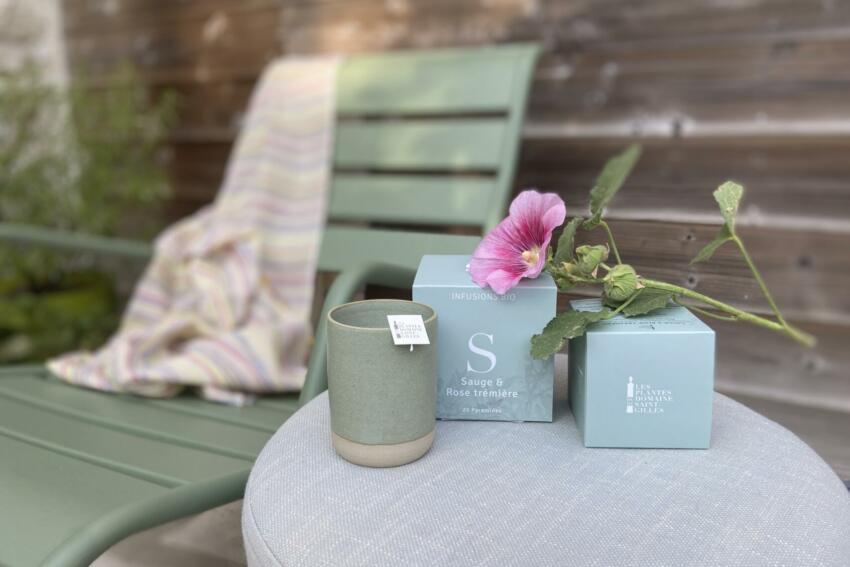 Sauge rose trémière été
