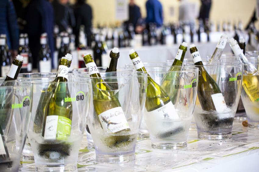 OENOTHEQUE MILLESIMES BIO